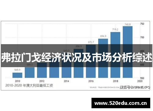 弗拉门戈经济状况及市场分析综述