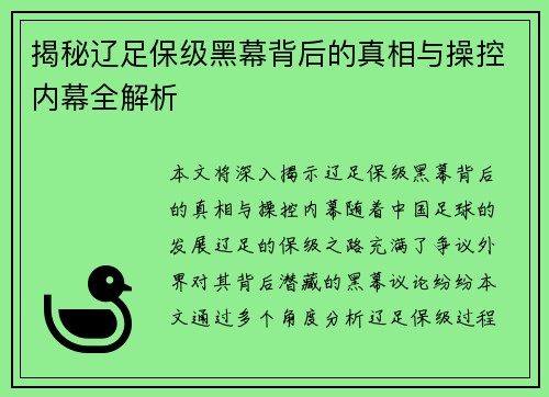 揭秘辽足保级黑幕背后的真相与操控内幕全解析