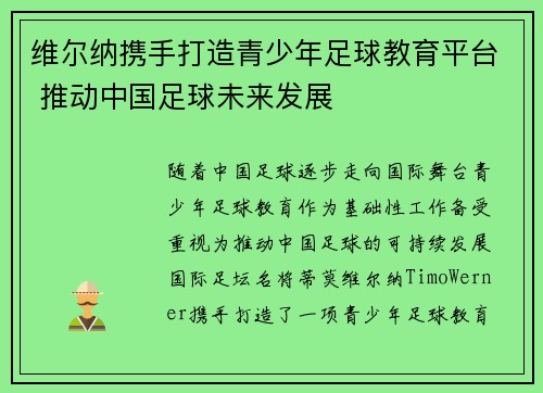 维尔纳携手打造青少年足球教育平台 推动中国足球未来发展
